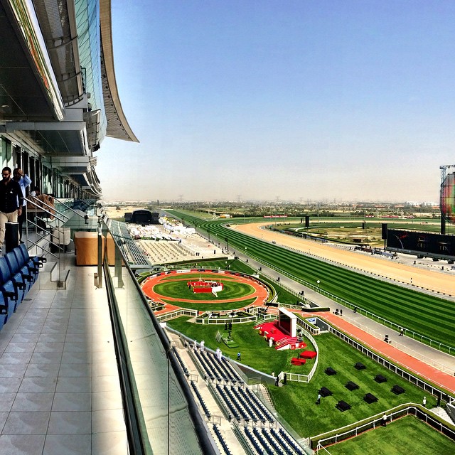 Afternoon at the races in Dubai. #20thDWC